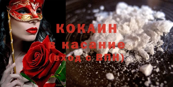 стафф Алзамай