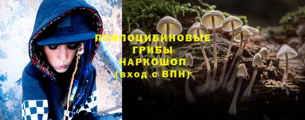 стафф Алзамай