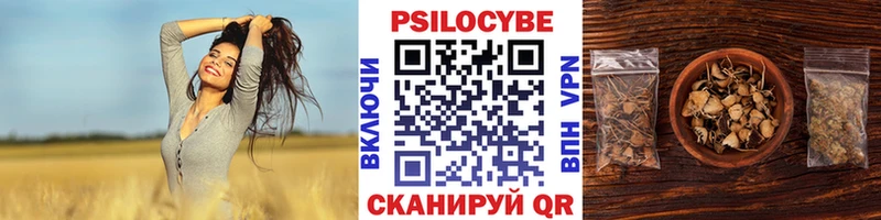 Псилоцибиновые грибы Cubensis  цена   Чехов 